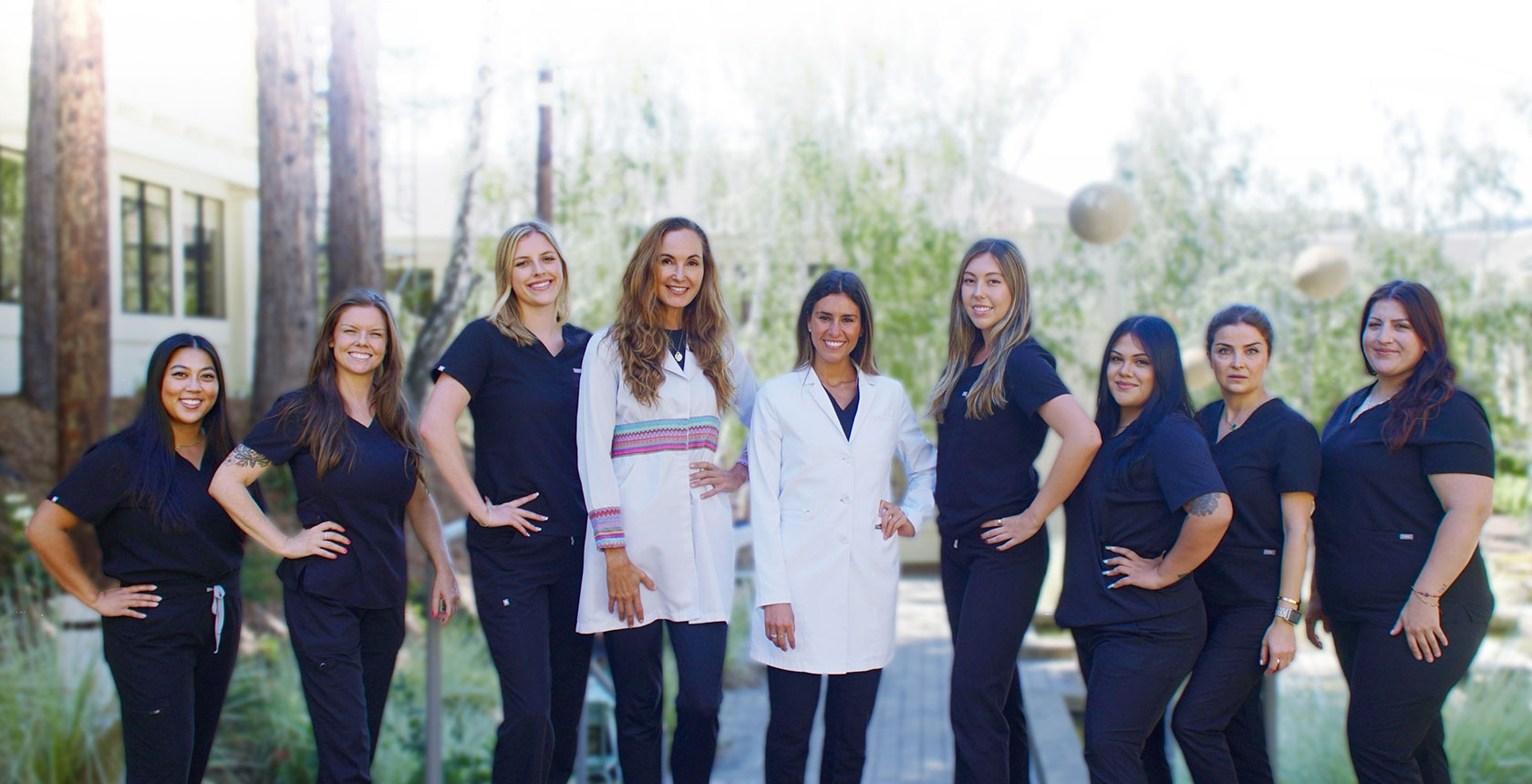 Meet The Team Image